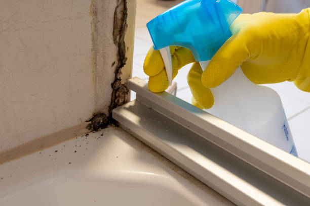 Best Office Mold Removal Services  in Glenville, WV