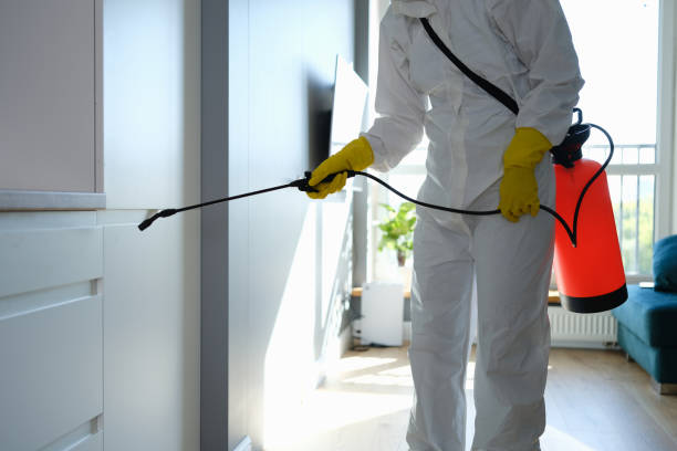 Certified Mold Removal in Glenville, WV