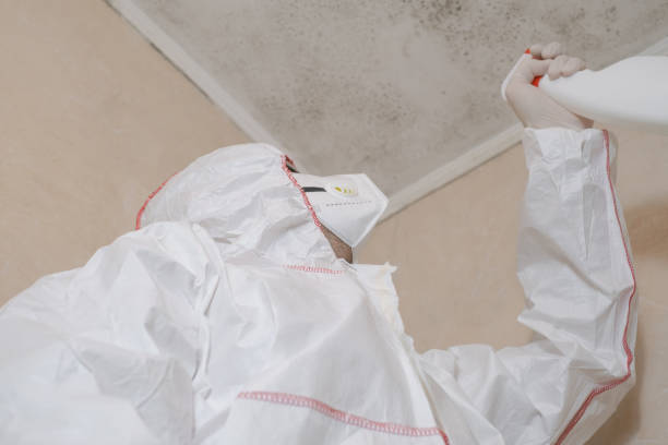 Best Residential Mold Removal  in Glenville, WV